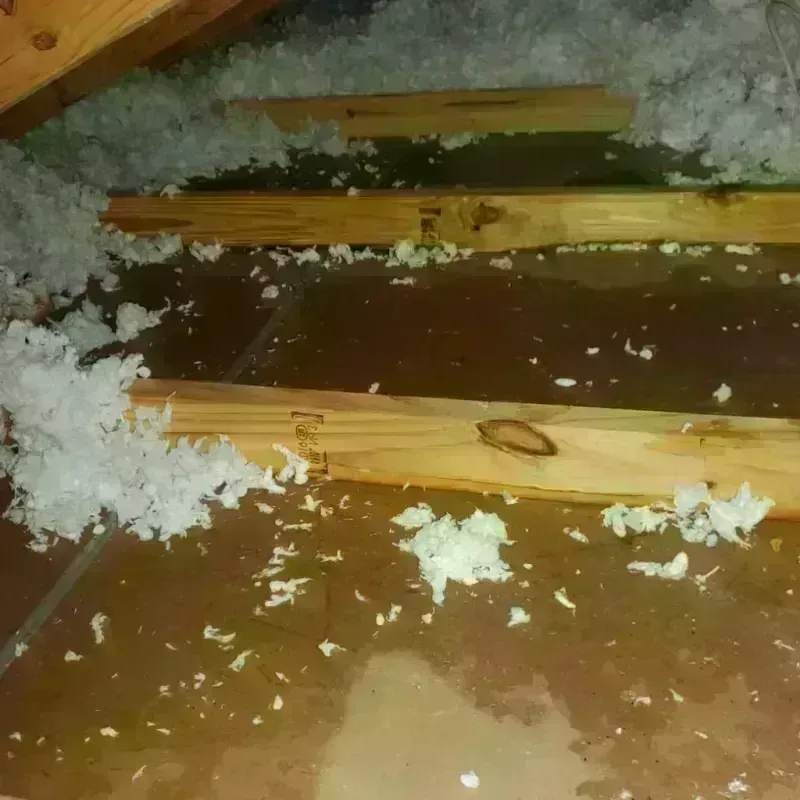 Attic Water Damage in Anoka County, MN