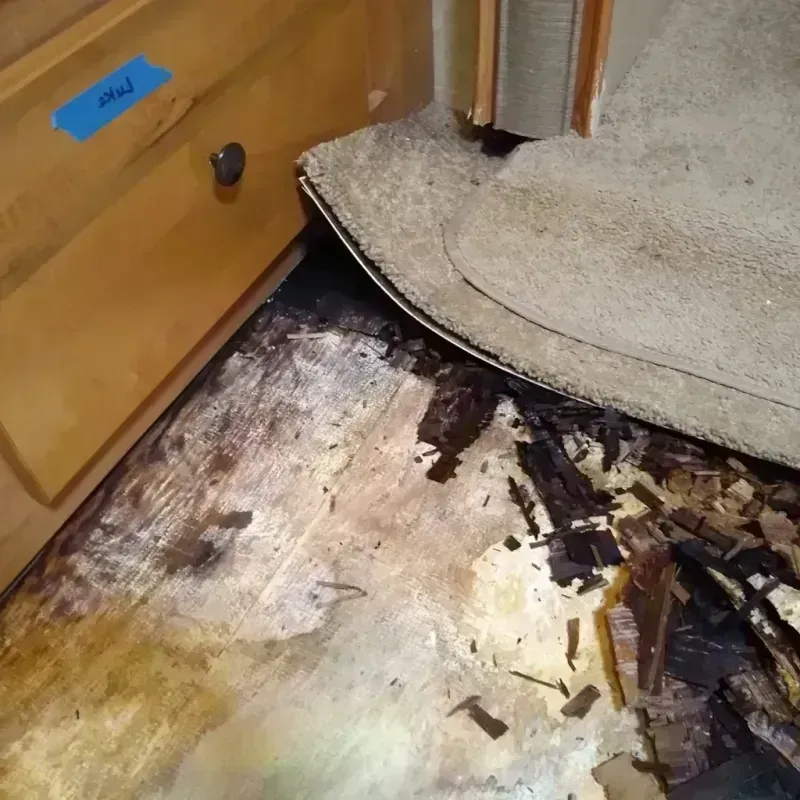 Wood Floor Water Damage in Anoka County, MN